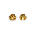 Golden Scallop Shell Stud Earrings